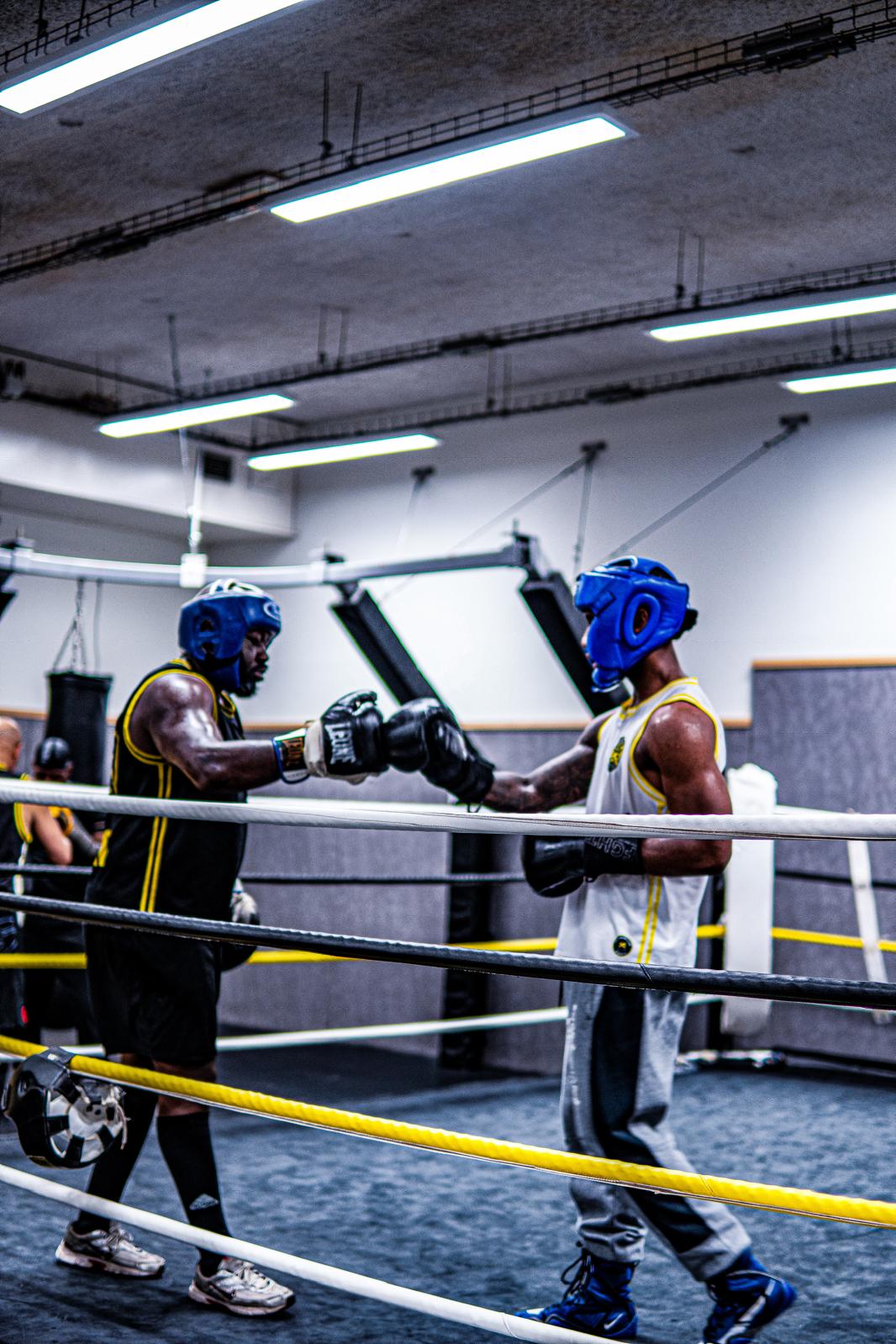 Deux boxeurs se touchent les gants avant le sparring